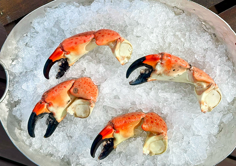 Stone Crab Claws - Jumbo