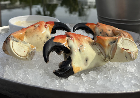 Stone Crab Claws - Mega