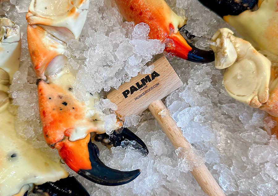 Stone Crab Claws - Jumbo